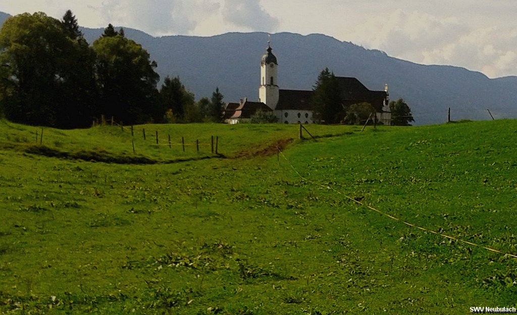 Click here to see the next image in this gallery