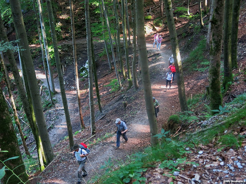 Click here to see the next image in this gallery