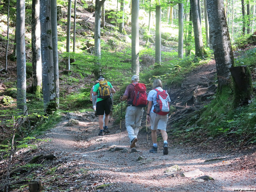 Click here to see the next image in this gallery