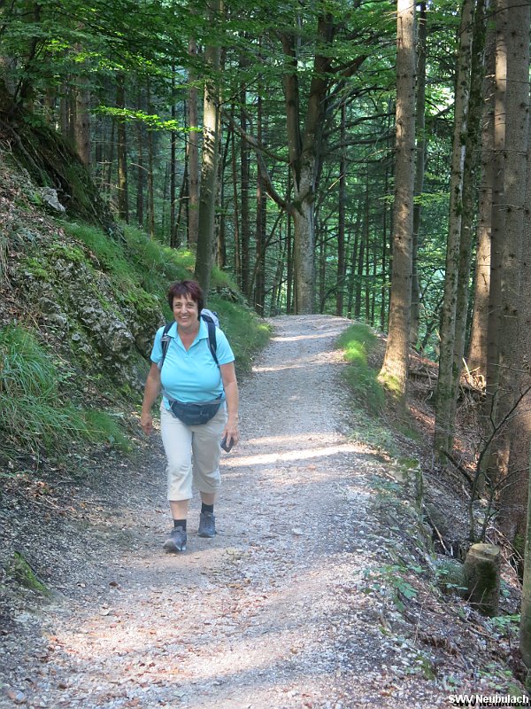 Click here to see the next image in this gallery