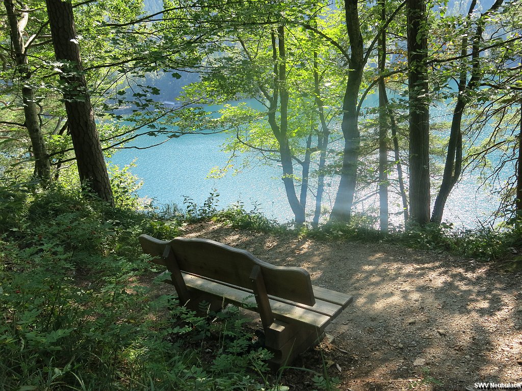 Click here to see the next image in this gallery