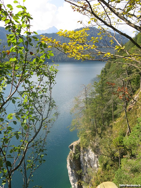 Click here to see the next image in this gallery