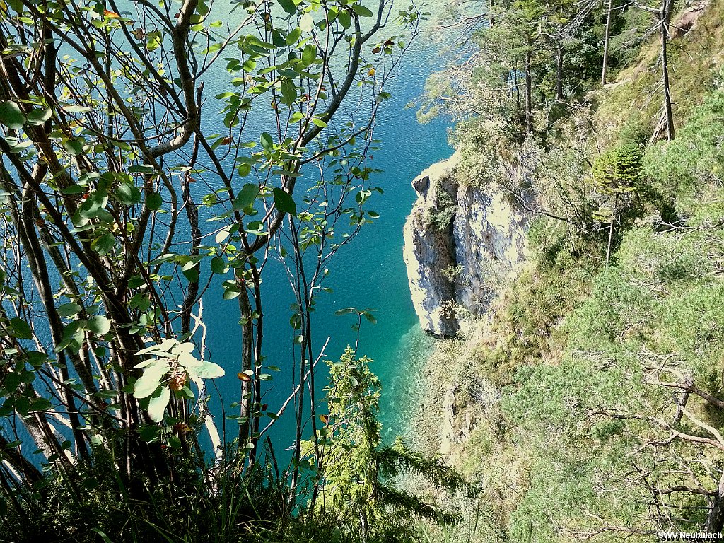 Click here to see the next image in this gallery