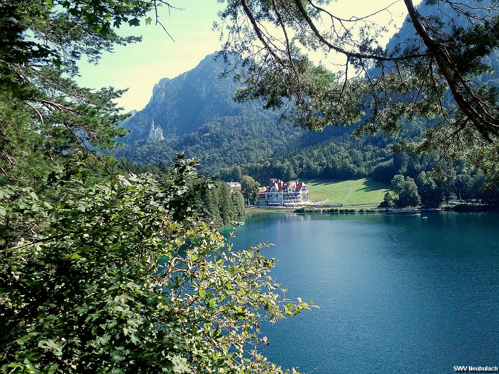 Click here to see the next image in this gallery