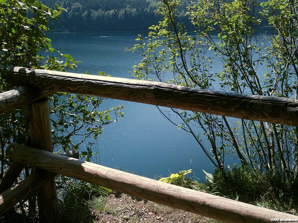 Click here to see the next image in this gallery