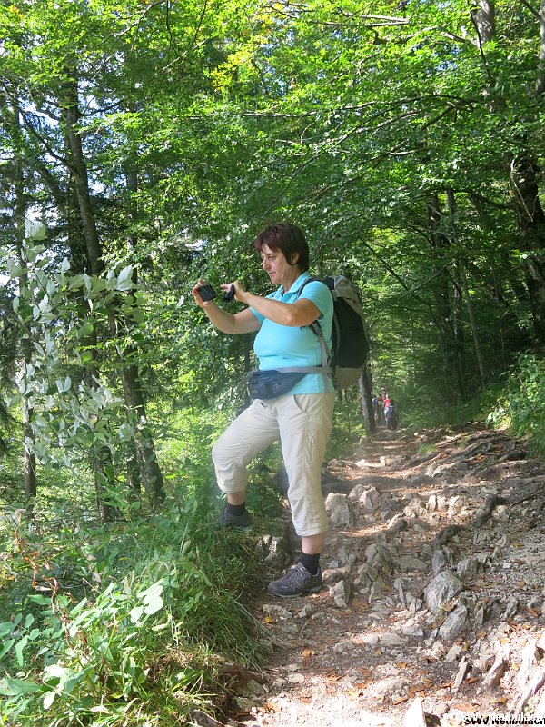 Click here to see the next image in this gallery