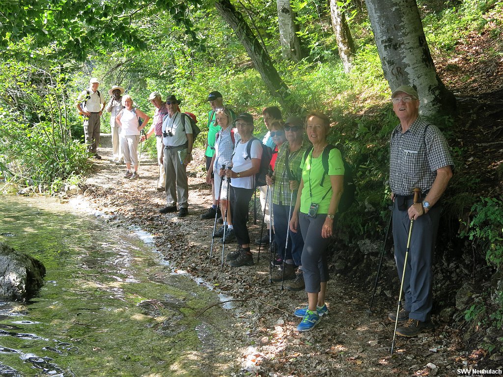 Click here to see the next image in this gallery