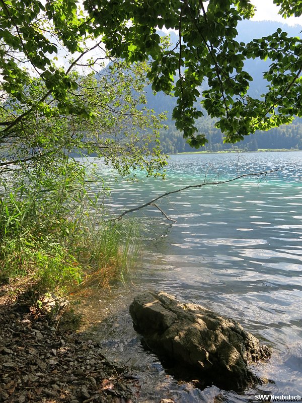 Click here to see the next image in this gallery