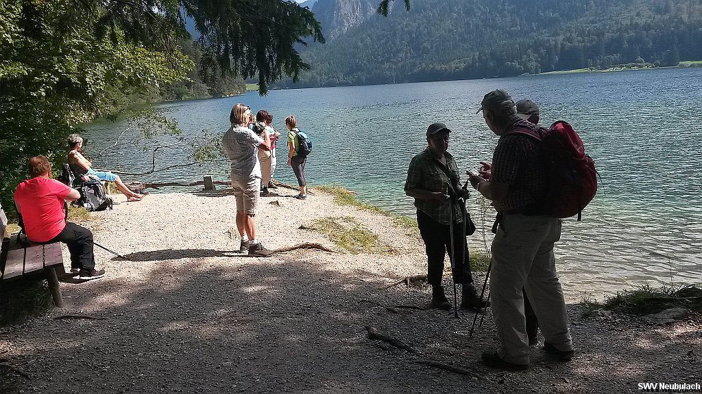 Click here to see the next image in this gallery