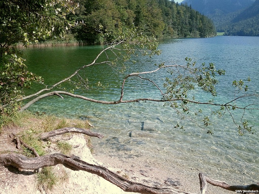 Click here to see the next image in this gallery