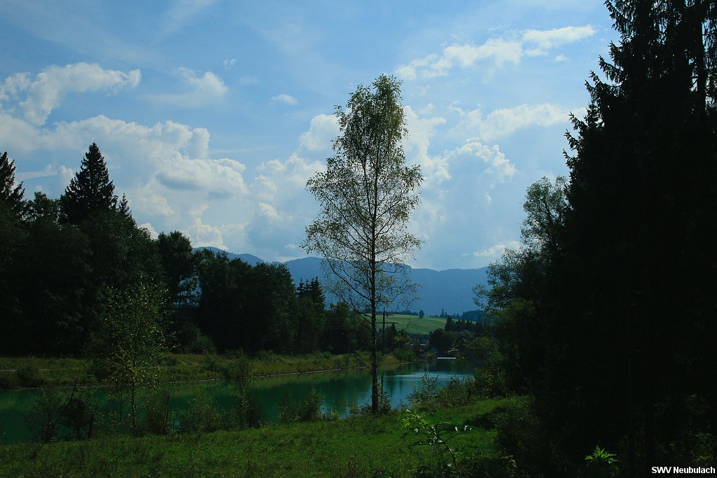 Click here to see the next image in this gallery