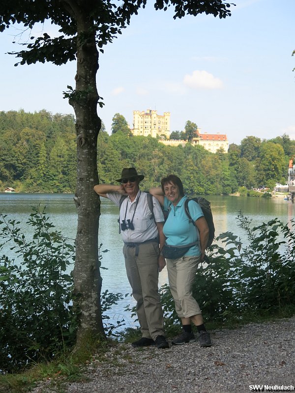 Click here to see the next image in this gallery