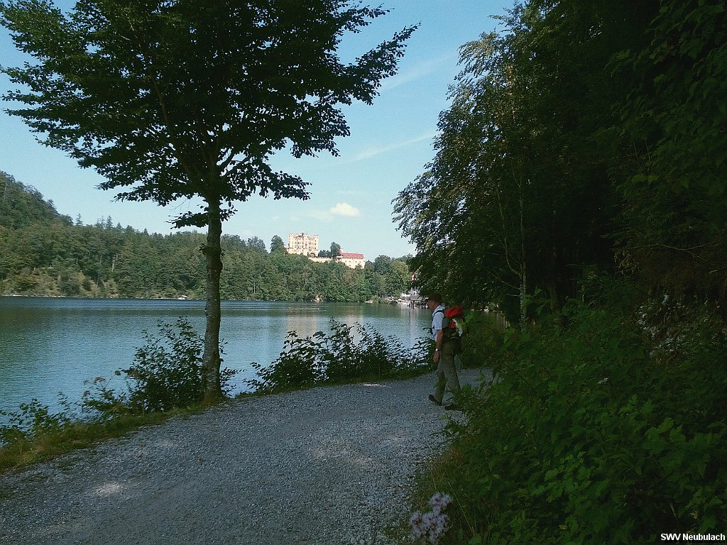 Click here to see the next image in this gallery