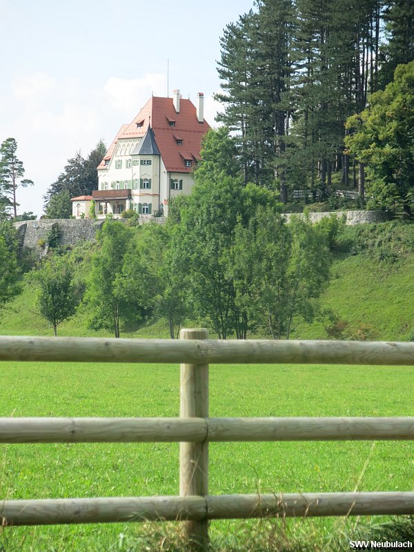 Click here to see the next image in this gallery