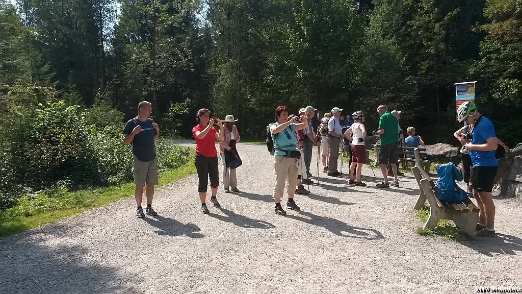 Click here to see the next image in this gallery