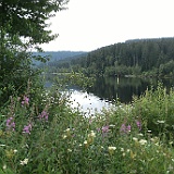 Schluchsee Bild 53