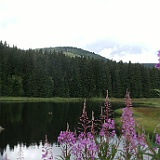 Schluchsee Bild 81