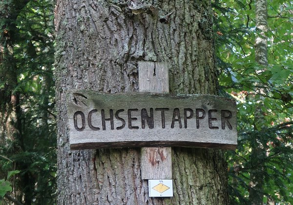 Von Liebelsberg ins idyllische Teinachtal