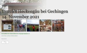 Im Heckengäu, November 2021