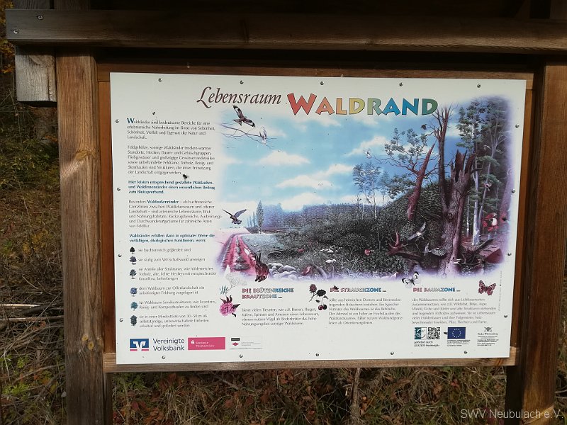 14 Lebensraum Waldrand