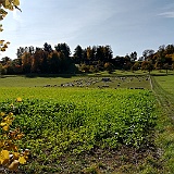 16 H�lsental mit Schafherde