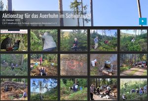 Aktionstag Auerhuhn Okt. 2022 Aktionstag Auerhuhn Okt. 2022