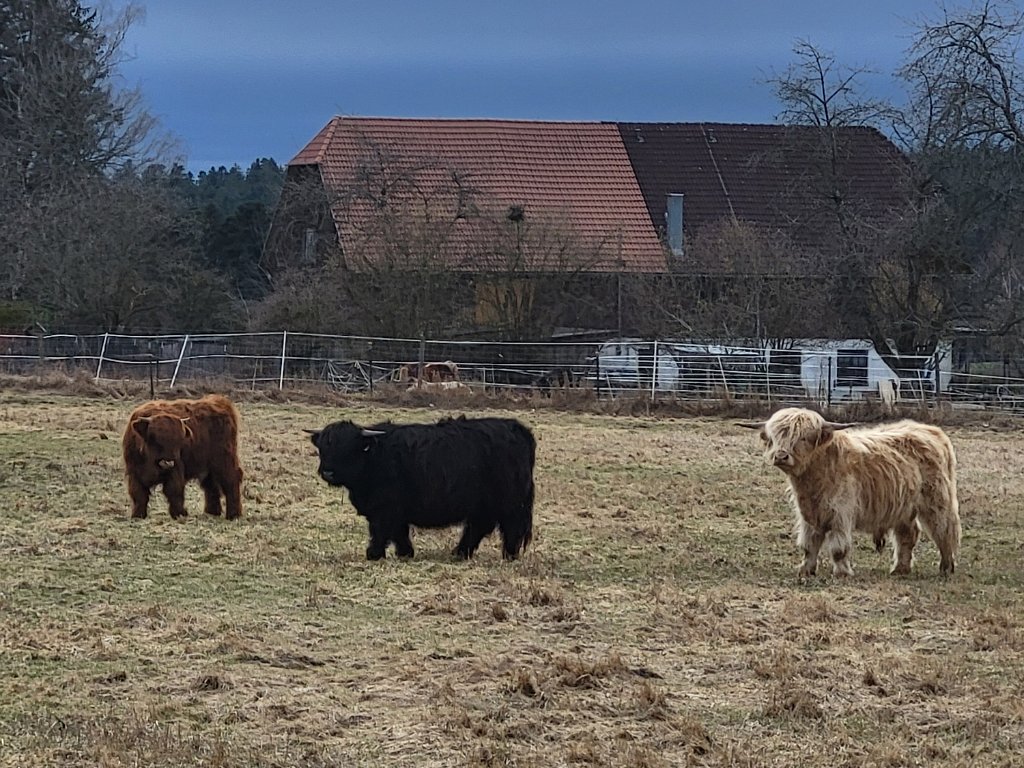 Winterwanderung um Gaugenwald