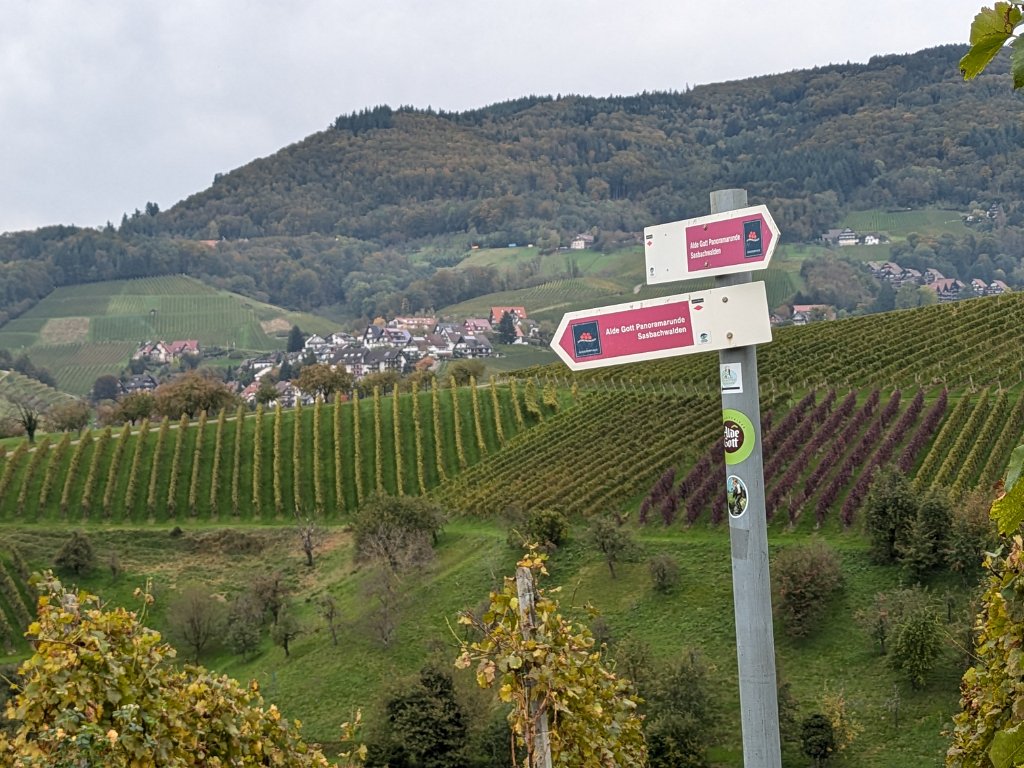 Panoramarunde um Sasbachwalden - Wandern, Wein und Musik 