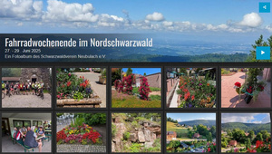 Radausfahrt im Juni 2025 Radausfahrt im Juni 2025