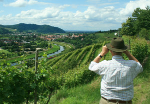 Ausblick Richtung Gengenbach