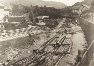 Bild aus Digitalarchiv Martin Spreng