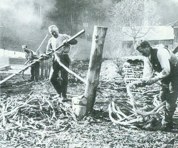 Bild aus Digitalarchiv Martin Spreng